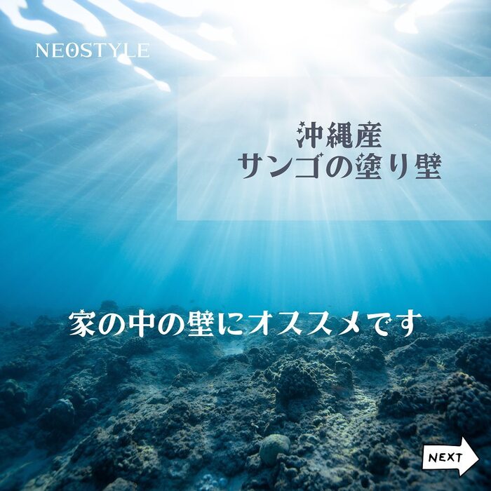 画像931