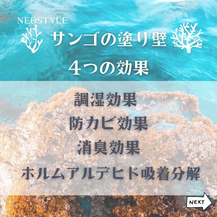 画像933