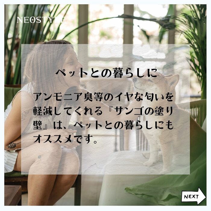 画像935